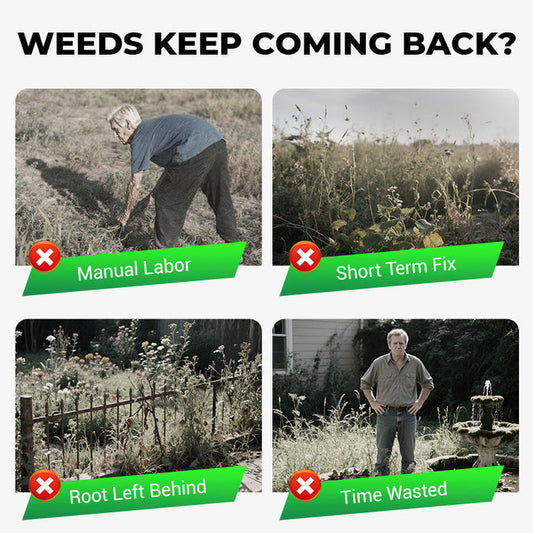 CYCLOSINONE HERBICIDE GRANULES 🔥 BUY 1 GET 1 FREE 🔥